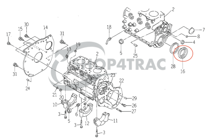 Uszczelniacz wału korbowego przód+tył Iseki TS