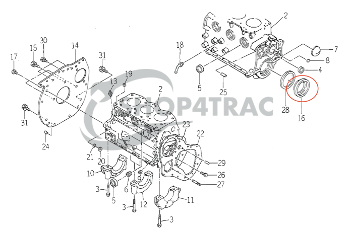 Krukaskeerring voor+achterzijde Iseki TS